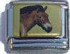 Horse Head Picture Italian Charm