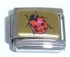 Ladybug Picture Italian Charm