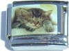 Picture of a Napping Kitty Italian Charm