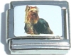 Dog Italian Charm