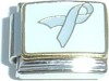 Ribbon in Light Blue