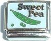 Sweet Pea