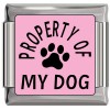 CT9452 Property of My Dog on Pink Photo Italian Charm