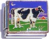 Cow in the Field