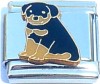 CT6394 Cute Black and Brown Puppy Dog Italian Charm