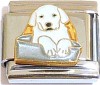 Puppy in Bowl Italian Charm