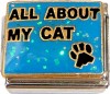 All About My Cat on Blue Italian Charm