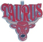 TAURUS PURSE KEY FINDER / KEY KEEPER / KEY CLIP