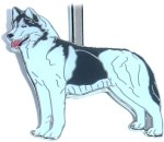 SIBERIAN HUSKY KEY FINDER / KEY KEEPER / KEY CLIP