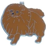 POMERANIAN