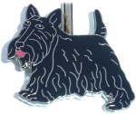 SCOTTIE