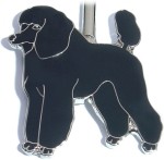 POODLE