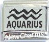 SL356 Aquarius Zodiac Laser Italain Charm