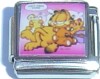 GARFIELD AND ODIE PIC