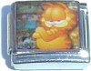 GARFIELD PIC