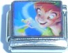 PETER PAN WITH TINKERBELL PIC