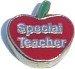 SPECIAL TEACHER