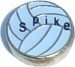 SPIKE
