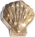 Seashell