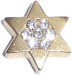 Star with Stones