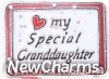 H1412 My Special Granddaughter Floating Locket Charm