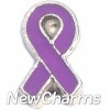 H7157 Purple Ribbon With Silver Trim Floating Locket Charm