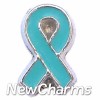 H7171 Teal Ribbon With Silver Trim Floating Locket Charm