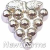H7881 Silver Grapes Floating Locket Charm