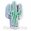 H8056 Cactus Floating Locket Charm