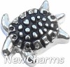 H8251 Turtle Floating Locket Charms