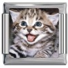 A10165 Kitty with Mouth Open Italian Charm