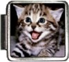Kitty with Mouth Open