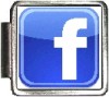 facebook logo Custom Photo Italian  Charm