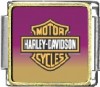 Harley Pink Custom Photo Italian  Charm
