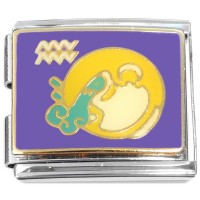 CT5248 MEGA Aquarius Zodiac Sign Italian Charm