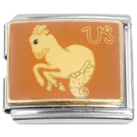 CT5251 MEGA Capricorn Zodiac Sign Italian Charm