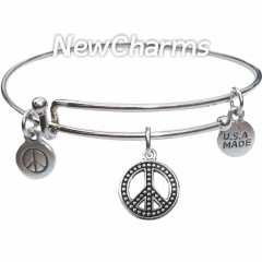 Bangle Bracelet with JT108 Silver Ohm