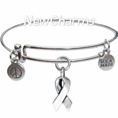 Bangle Bracelet with JT209 Silver Awareness Ribbon