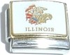 CL2088 Flag of Illinois Italian Charm