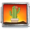 CT1064 Cactus Photo Italian Charm