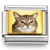 CT1119 Cat Picture Italian Charm
