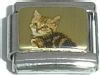 CT1309 Kitty Picture Italian Charm