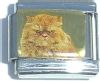 CT1310 Cat Picture Italian Charm