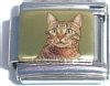 CT1311 Cat Pictures Italian Charm