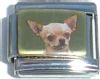 CT1318 Chihuahua Picture Italian Charm