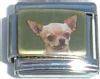 CT1313 Chihuahua Puppy Dog Italian Charm