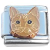 CT1319 Cute Brown Cat Face Italian Charm