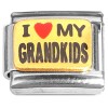 CT1657 I Love My Grandkids Italian Charm