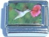 Picture of Hummingbird Italian Charm
