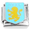 CT2079 AVFC Aston Villa Football Club Soccer Italian Charm 